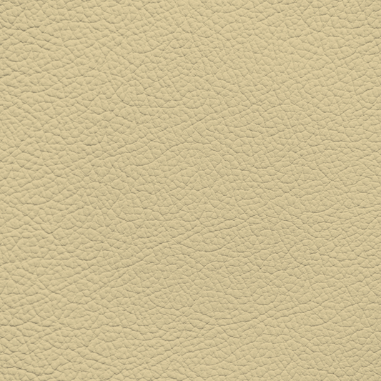 Mercedes Cream Leather Dye