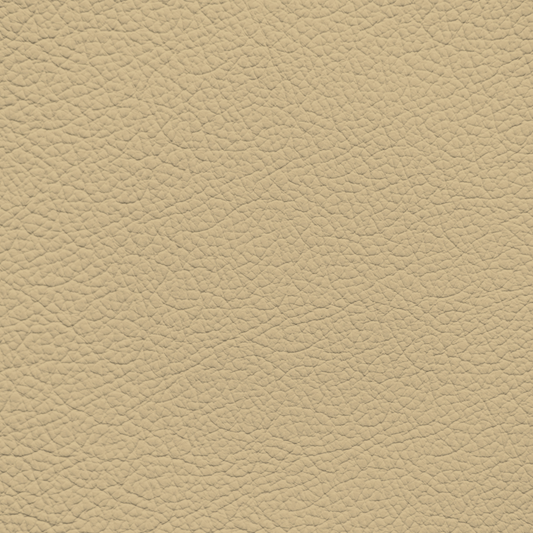Mercedes Creme Beige Leather Dye