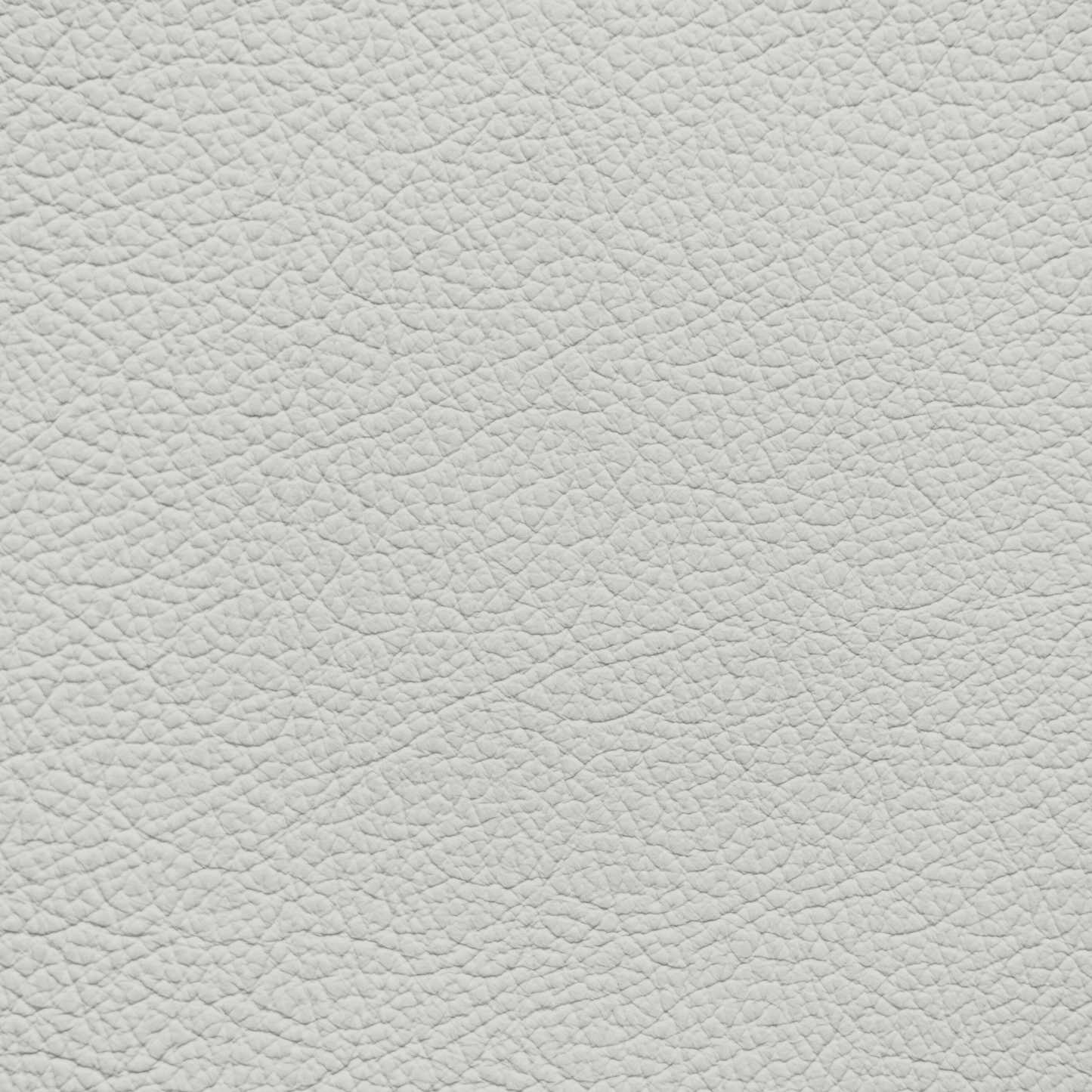 Mercedes Crystal Gray Leather Dye