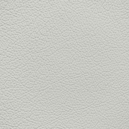 Mercedes Crystal Gray Leather Dye