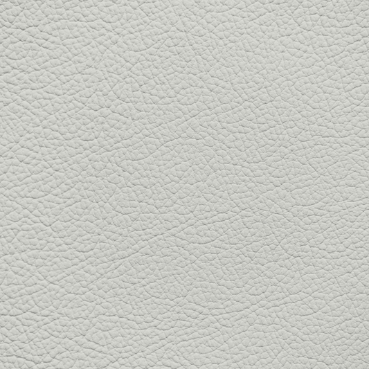 Mercedes Crystal Gray Leather Dye