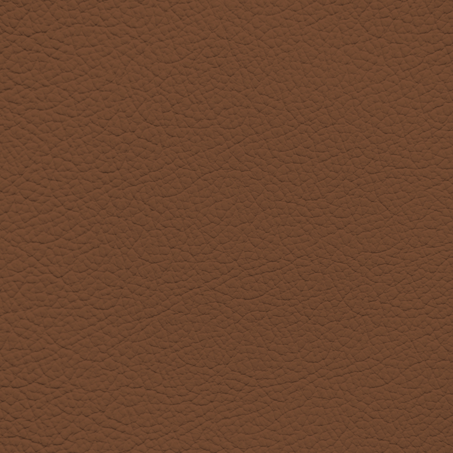 Maserati Cuoio Leather Dye