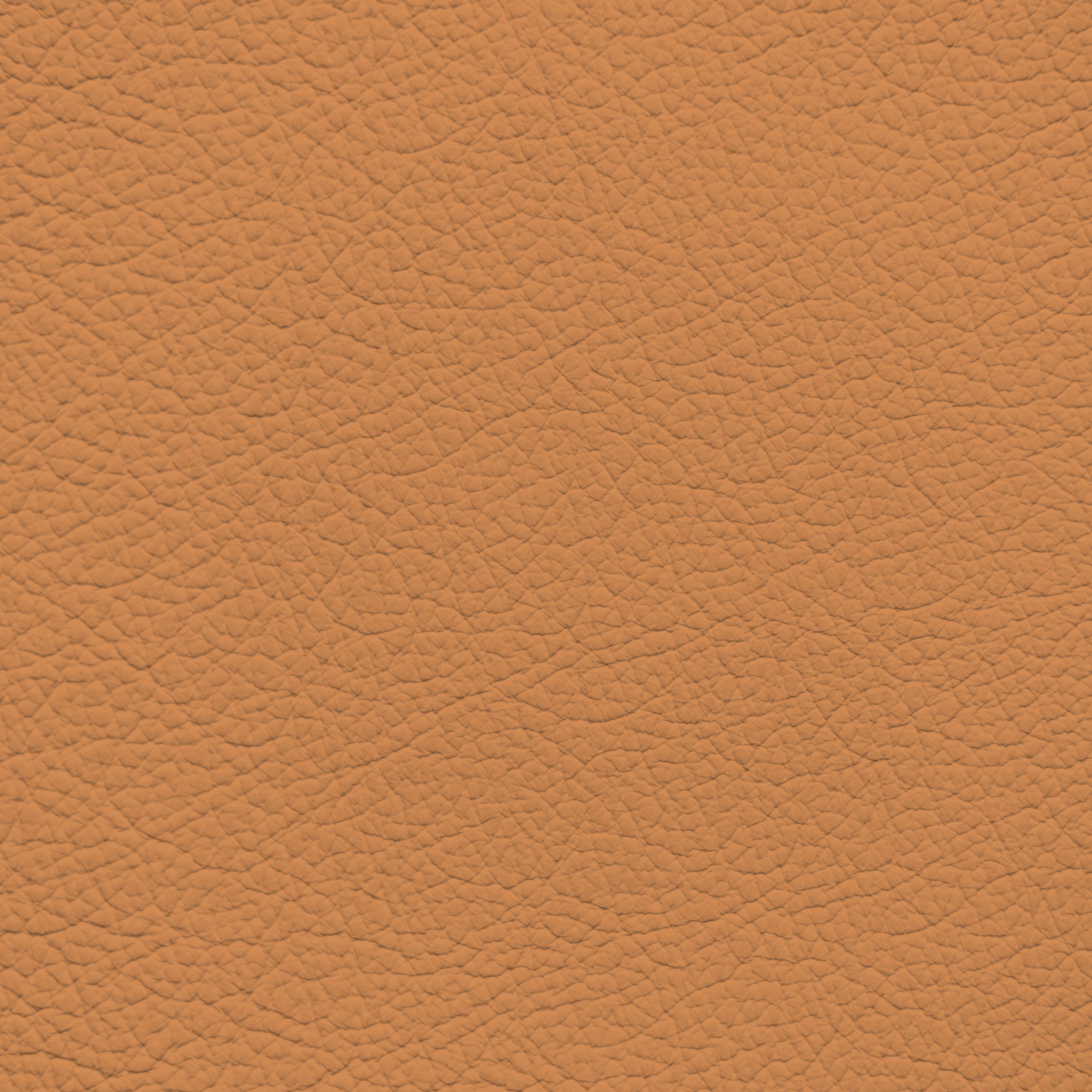Lamborghini Cuoio Olympus Leather Dye