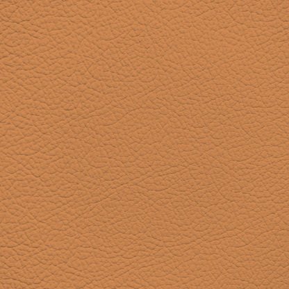 Lamborghini Cuoio Olympus Leather Dye