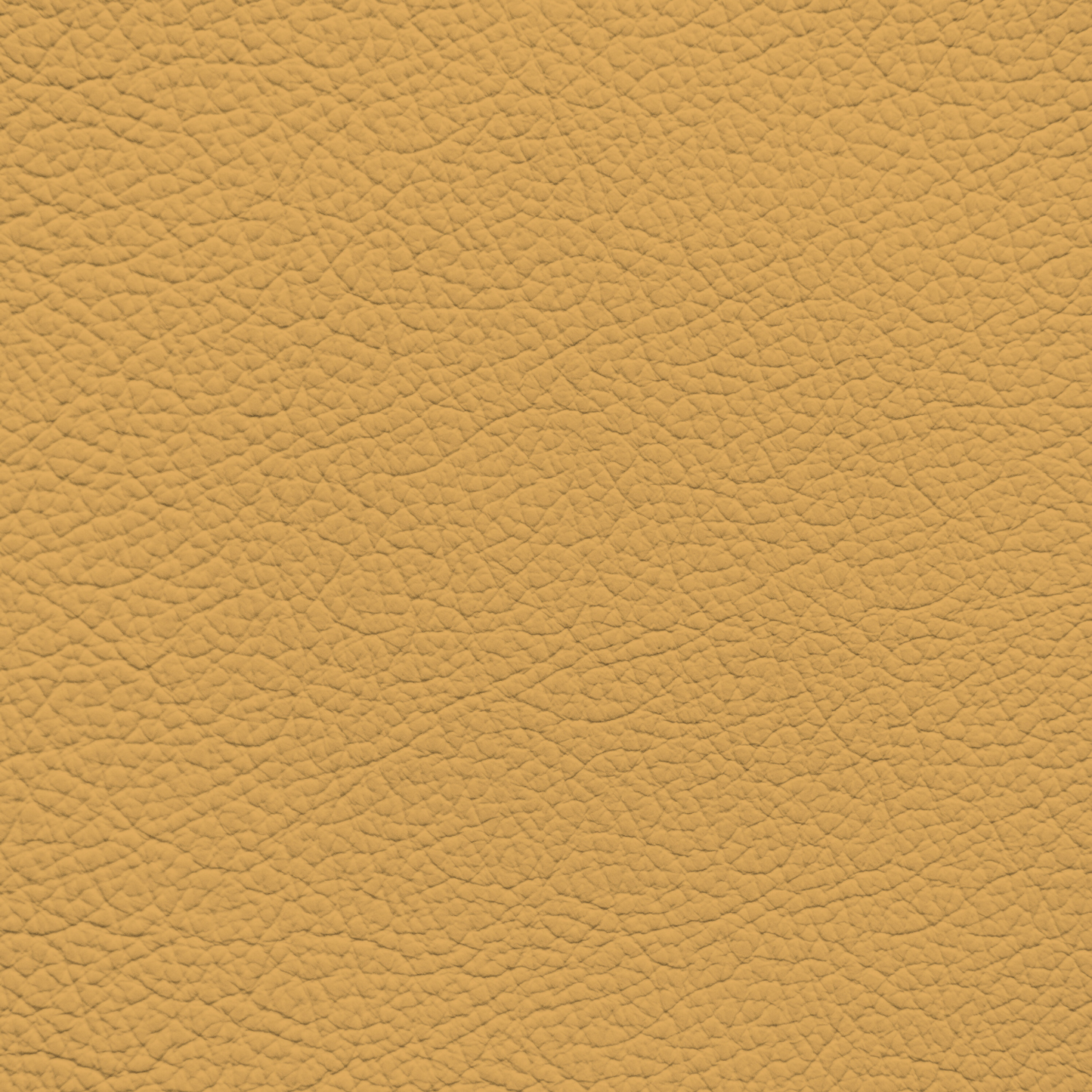 Mercedes Curcuma Leather Dye