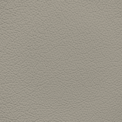 Ford/Lincoln/Mercury Cypress Leather Dye