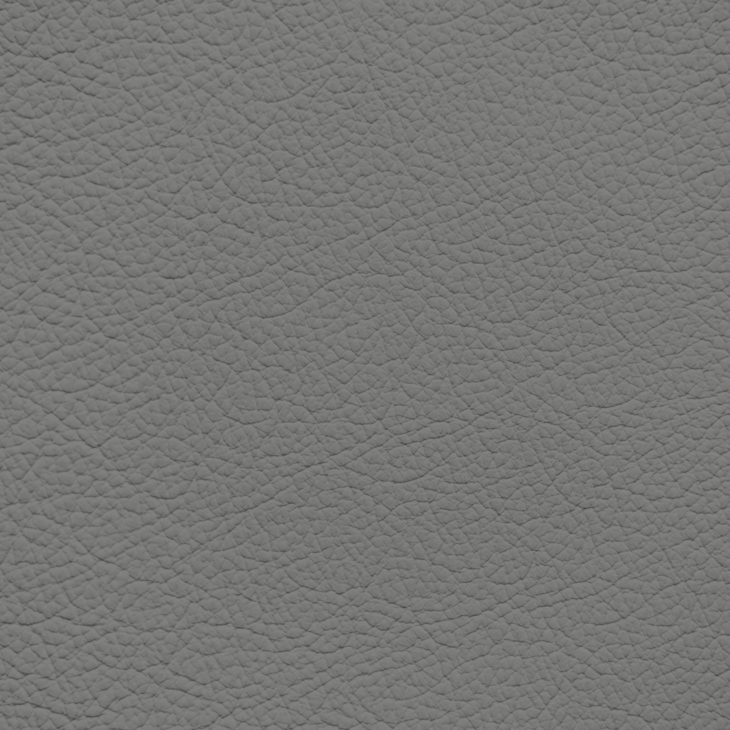 Ford/Lincoln/Mercury Dark Ash Leather Dye