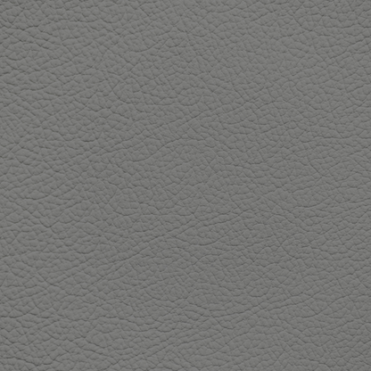Ford/Lincoln/Mercury Dark Ash Leather Dye