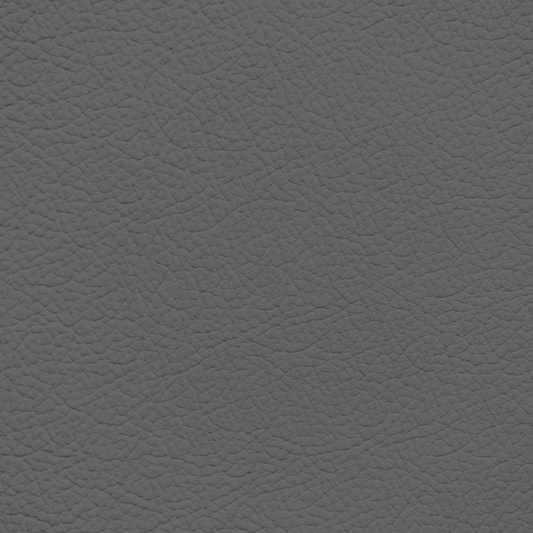 Mercedes Dark Ash Leather Dye