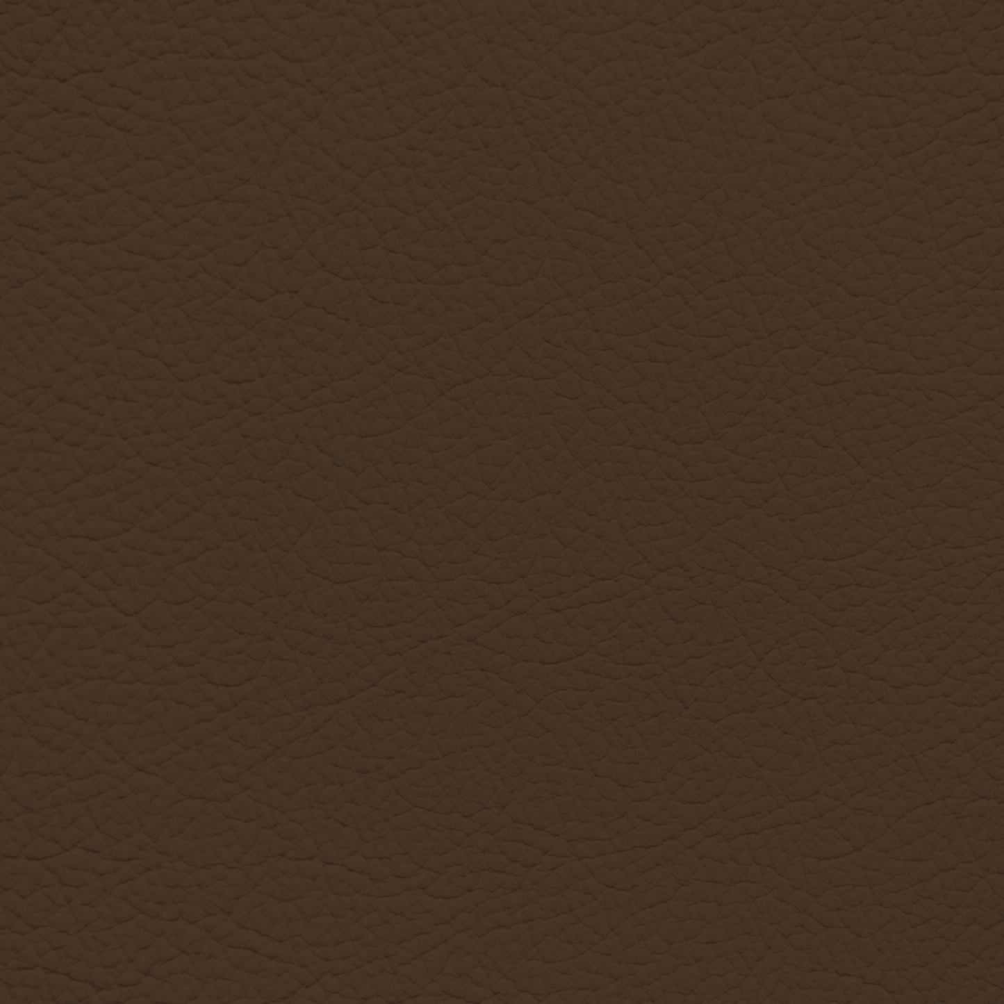 Mercedes Dark Brown Leather Dye