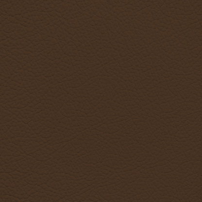 Mercedes Dark Brown Leather Dye