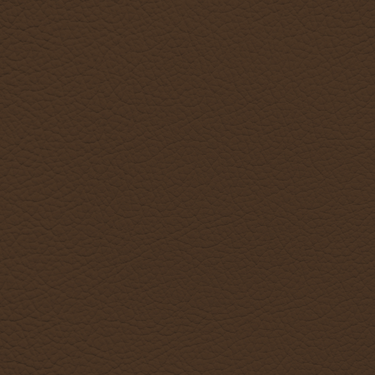 Mercedes Dark Brown Leather Dye