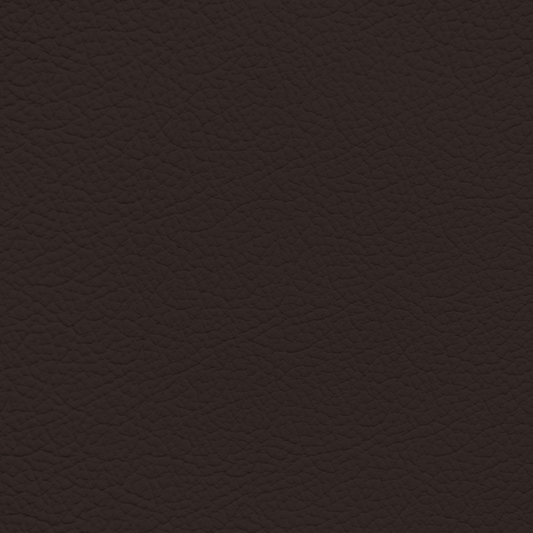 Ford/Lincoln/Mercury Dark Chocolate Leather Dye