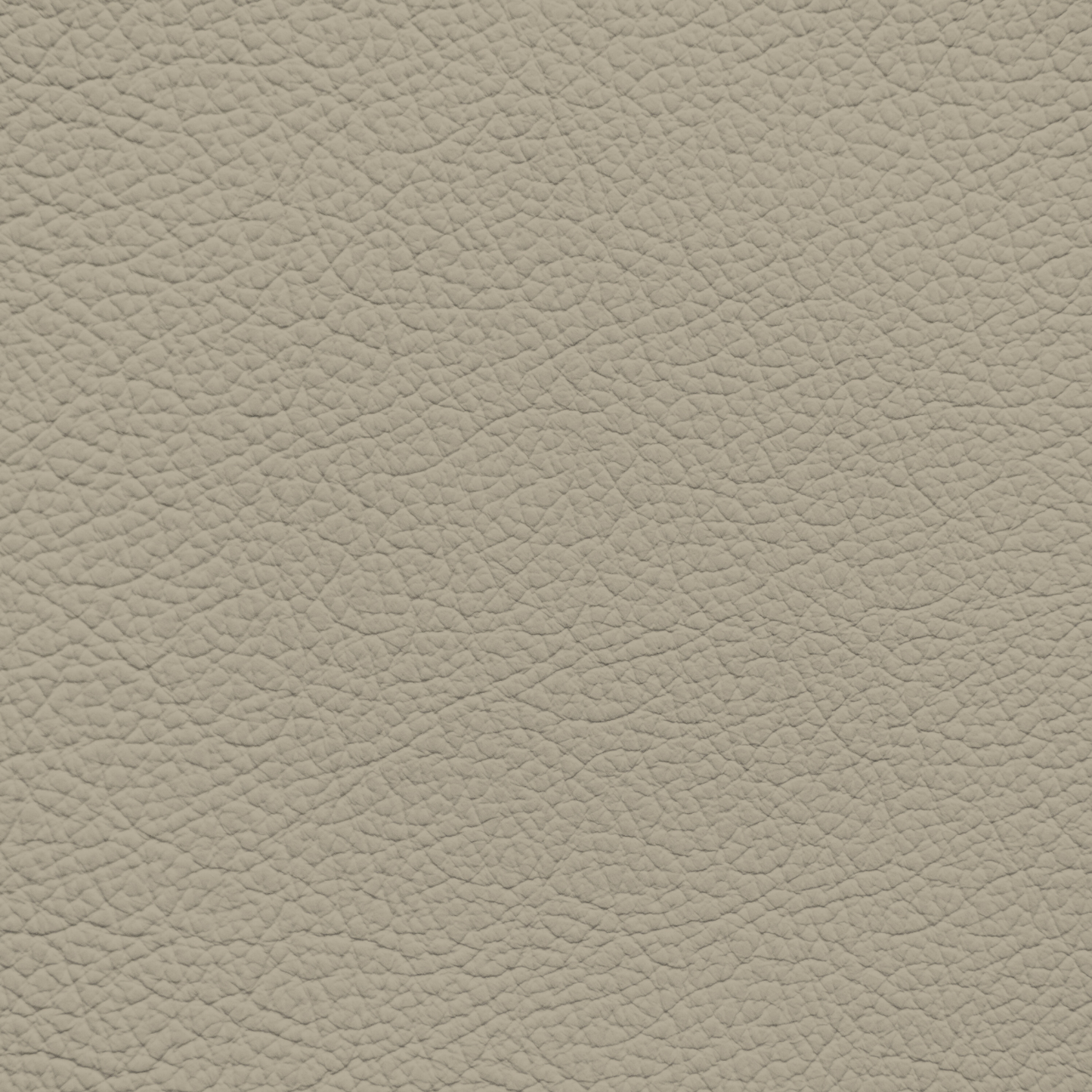 Mercedes Dark Creme Beige Leather Dye