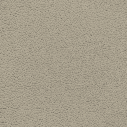 Mercedes Dark Creme Beige Leather Dye
