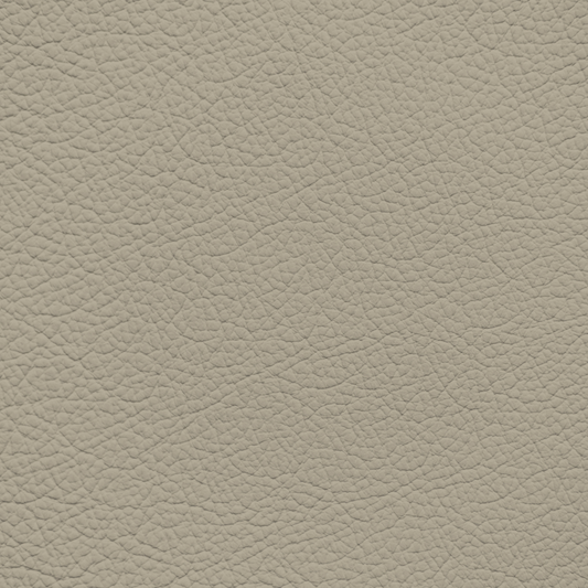 Mercedes Dark Creme Beige Leather Dye