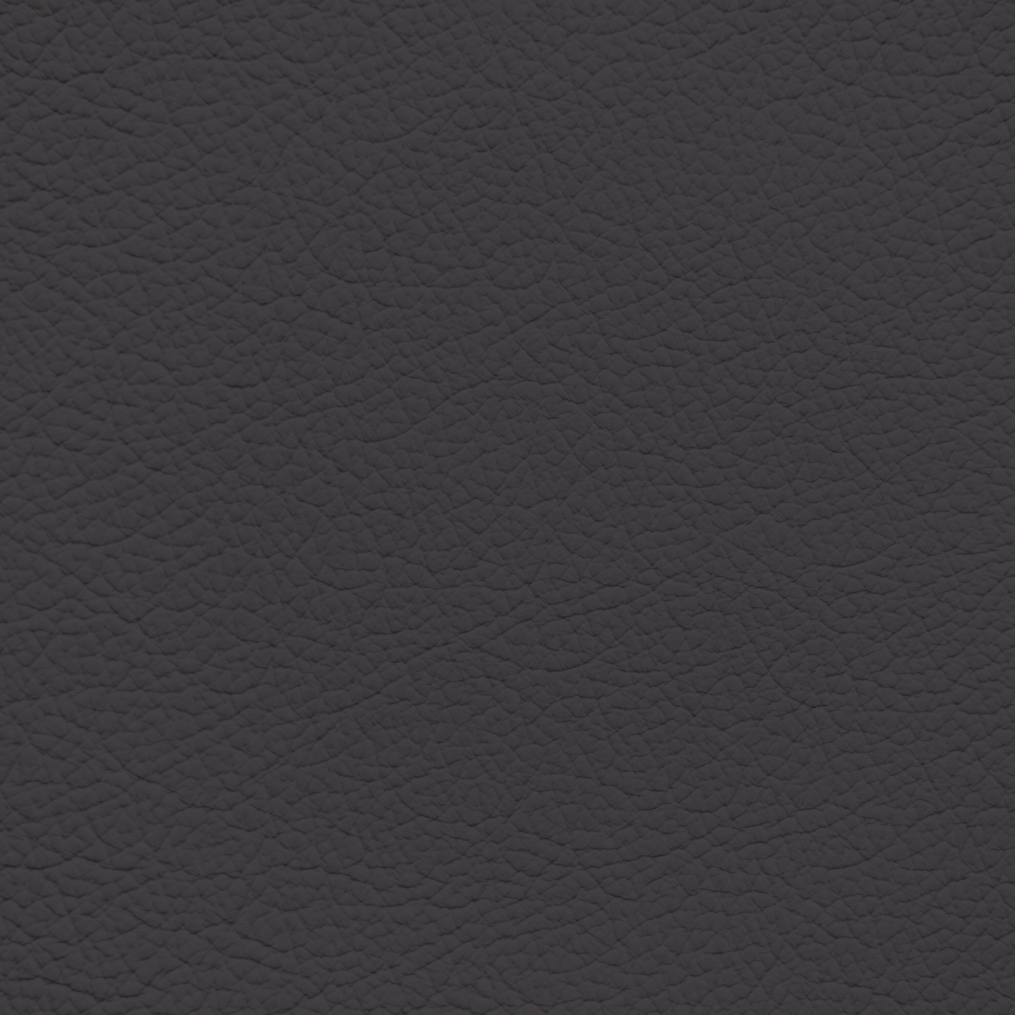 Ford/Lincoln/Mercury Dark Graphite Leather Dye