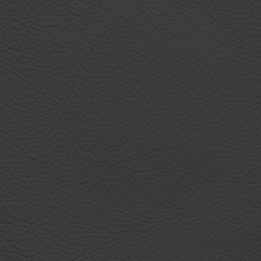 Ford/Lincoln/Mercury Dark Graphite Leather Dye