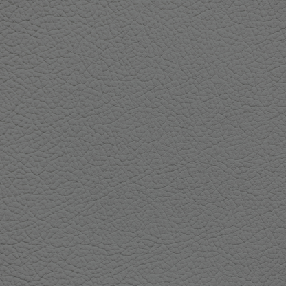 Infiniti Dark Gray Leather Dye