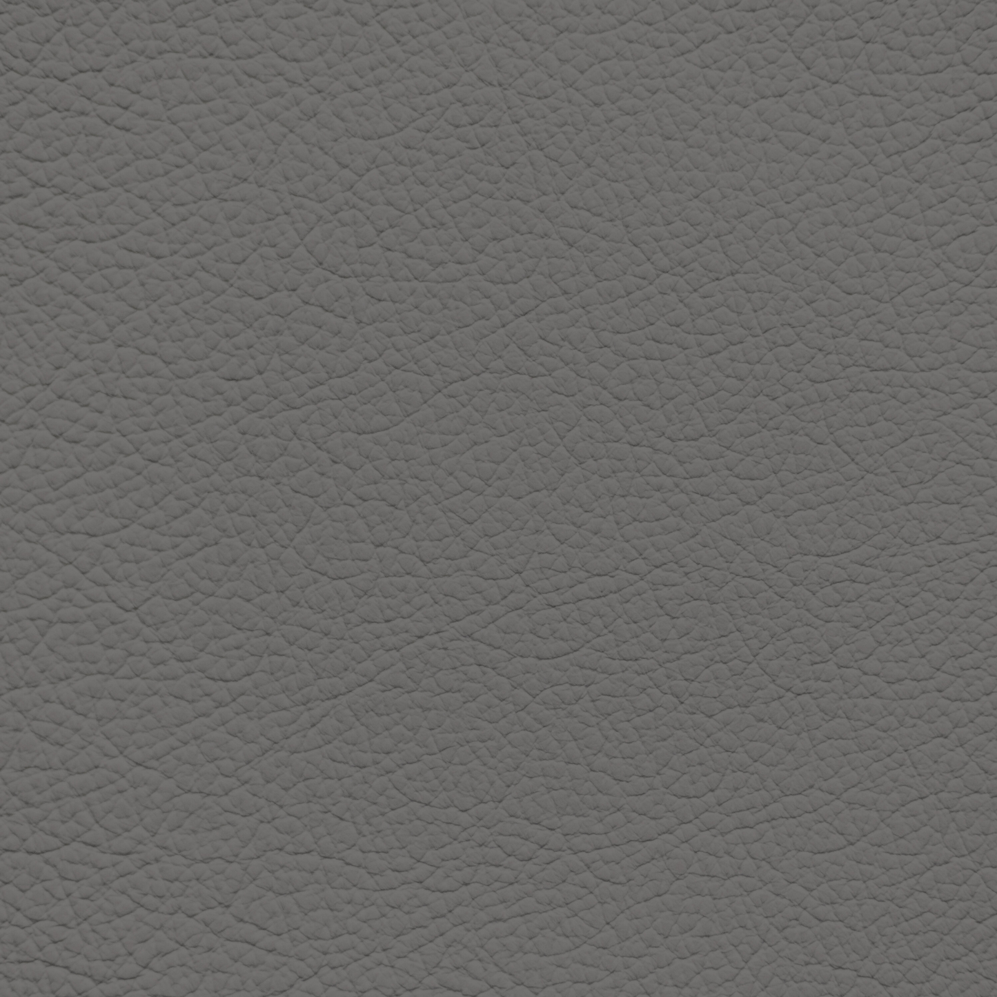 Lexus Dark Gray Leather Dye
