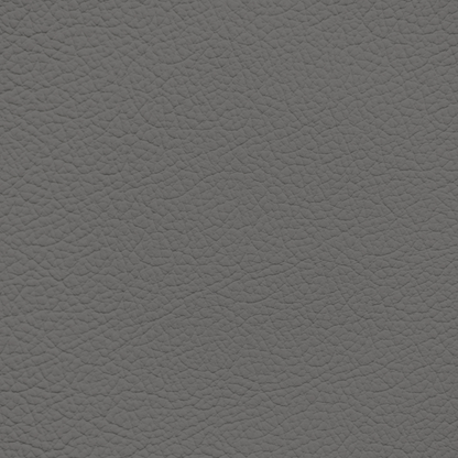 Lexus Dark Gray Leather Dye