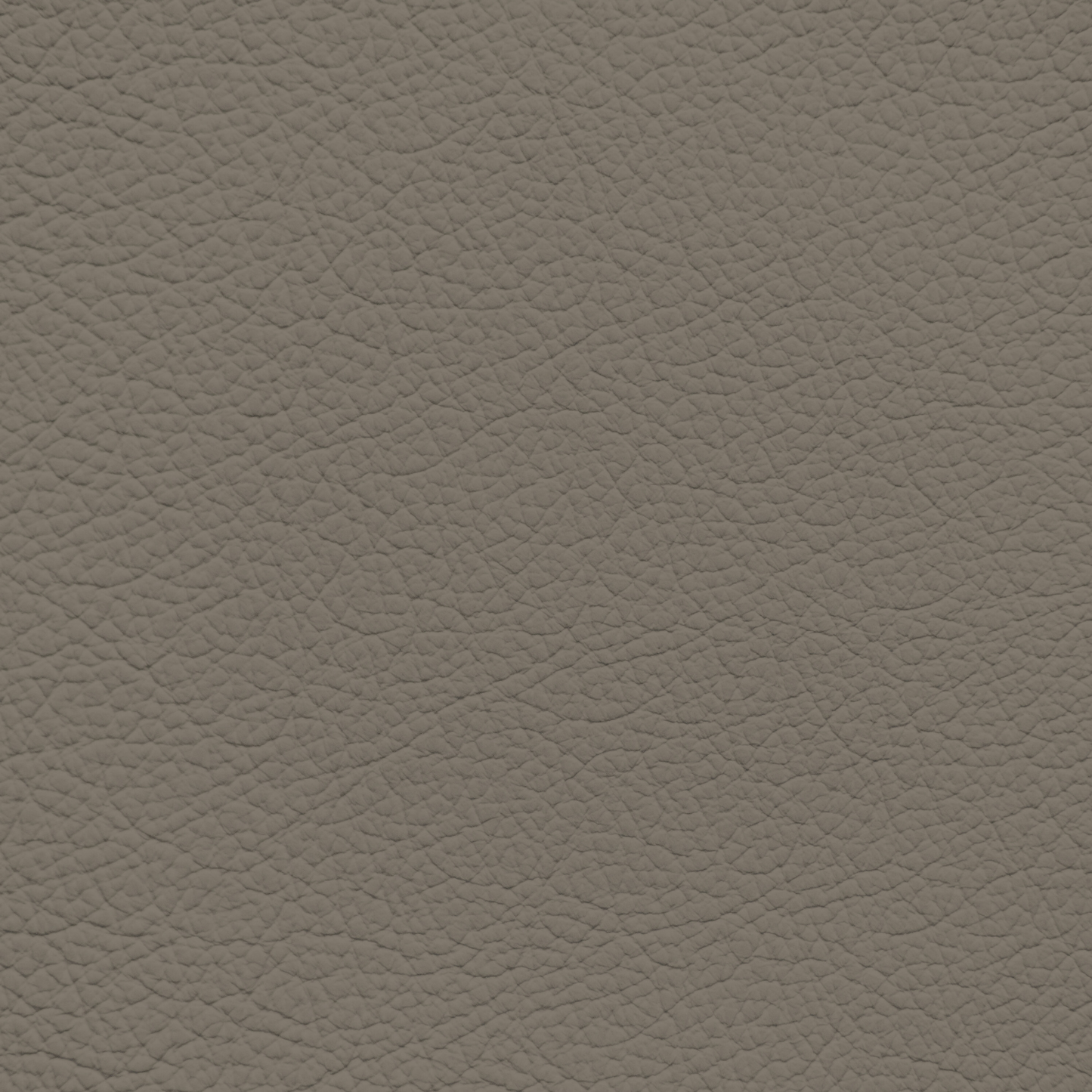 Mercedes Dark Java Leather Dye