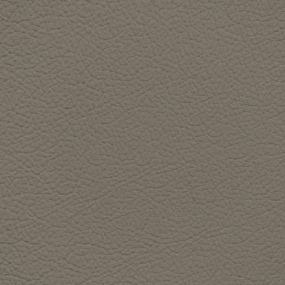 Mercedes Dark Java Leather Dye