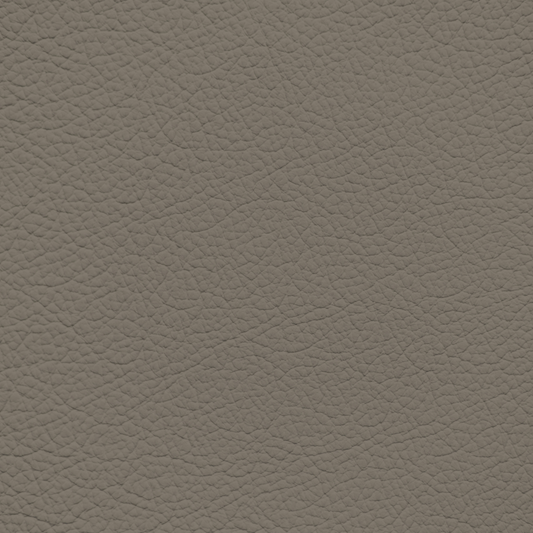 Mercedes Dark Java Leather Dye