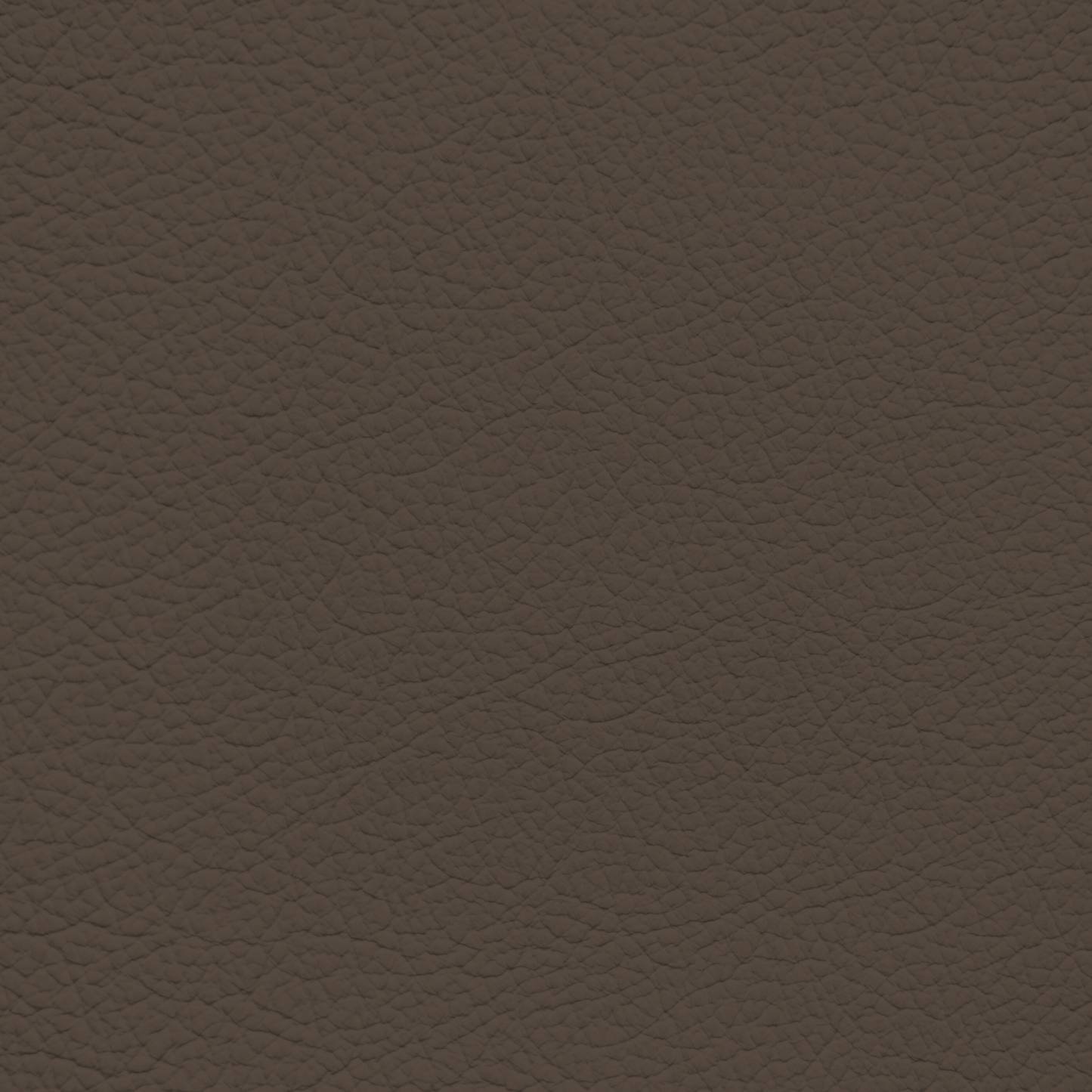 Mercedes Dark Macadamia Leather Dye