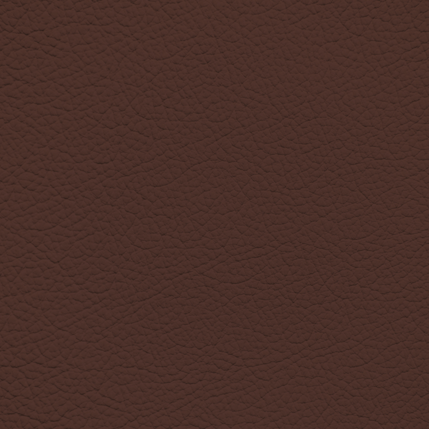 Ford/Lincoln/Mercury Dark Marsala Leather Dye