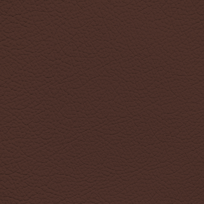 Ford/Lincoln/Mercury Dark Marsala Leather Dye