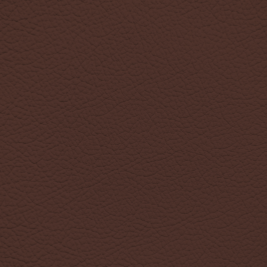 Ford/Lincoln/Mercury Dark Marsala Leather Dye