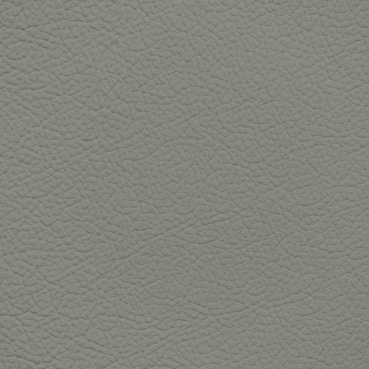 Mercedes Dark Oyster(Trim) Leather Dye