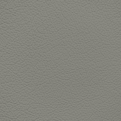 Mercedes Dark Oyster(Trim) Leather Dye