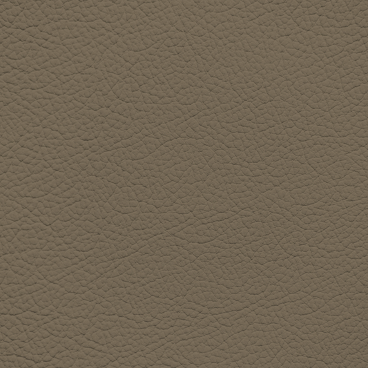 Ford/Lincoln/Mercury Dark Parchment Leather Dye