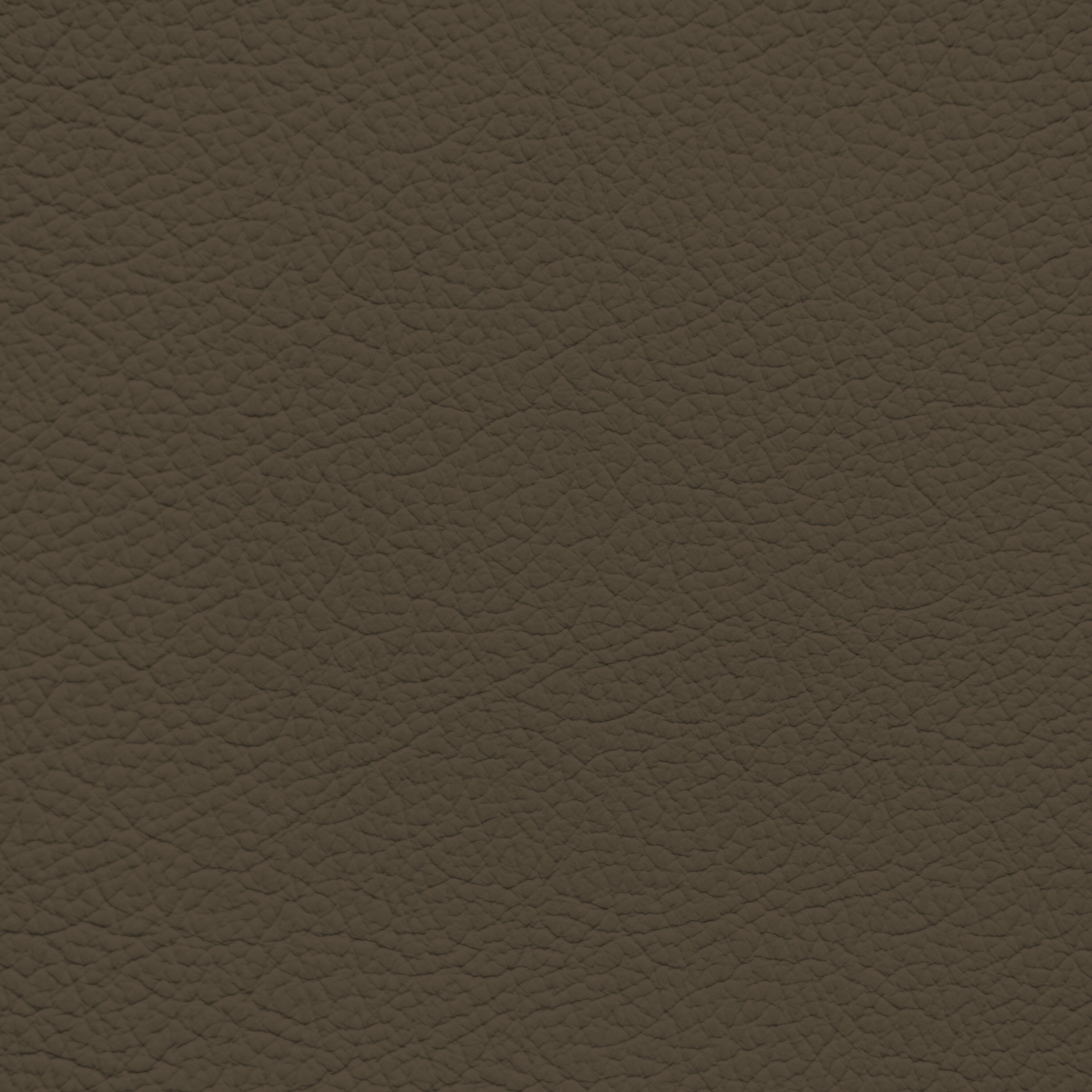 Ford/Lincoln/Mercury Dark Pebble Leather Dye