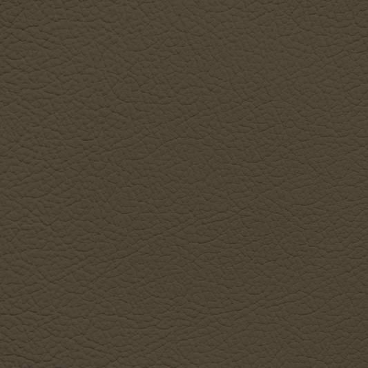 Ford/Lincoln/Mercury Dark Pebble Leather Dye
