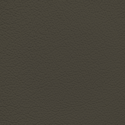 Ford/Lincoln/Mercury Dark Pumice Brown Leather Dye