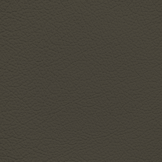 Ford/Lincoln/Mercury Dark Pumice Brown Leather Dye
