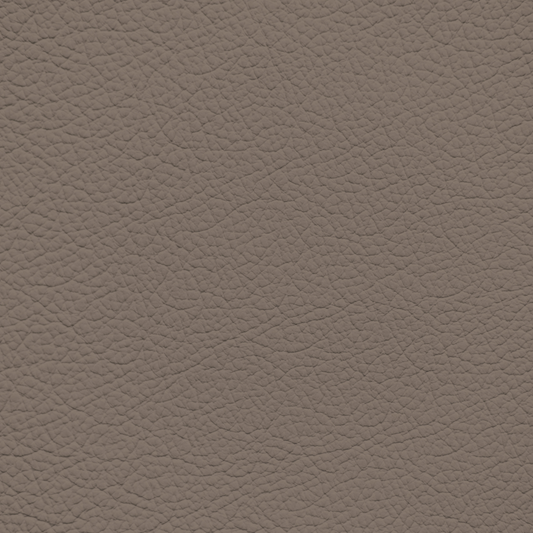 Ford/Lincoln/Mercury Dark Saddle Leather Dye