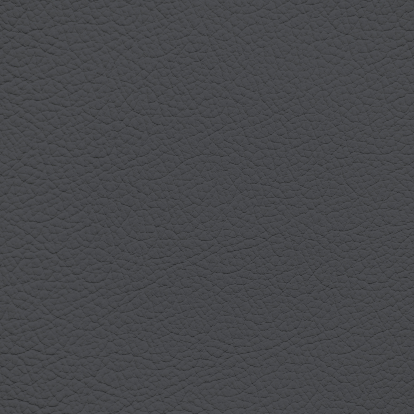 Ford/Lincoln/Mercury Dark Slate Leather Dye