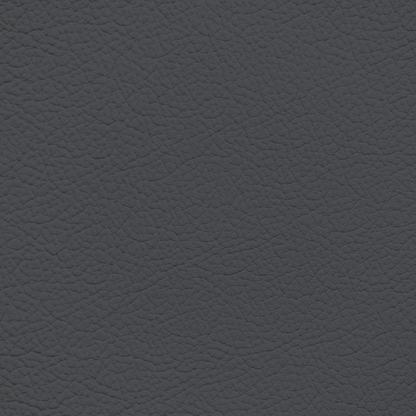 Ford/Lincoln/Mercury Dark Slate Leather Dye