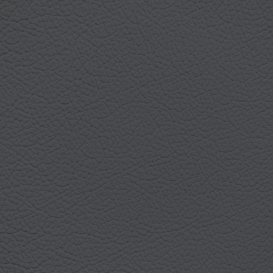 Ford/Lincoln/Mercury Dark Slate Leather Dye