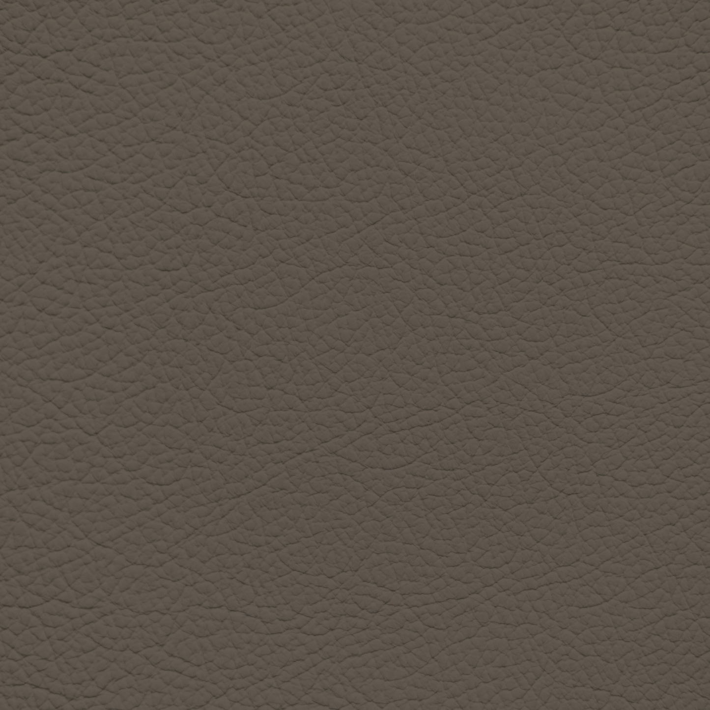 Mercedes Dark Stein Leather Dye