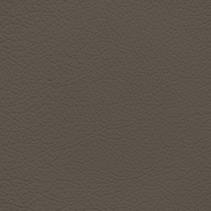 Mercedes Dark Stein Leather Dye