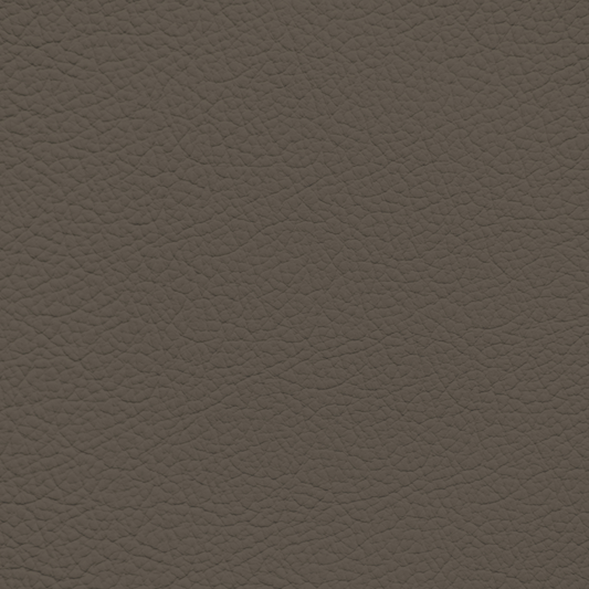 Mercedes Dark Stein Leather Dye