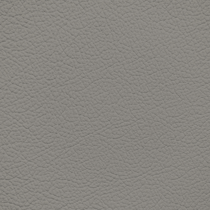 Mercedes Dark Stone Leather Dye