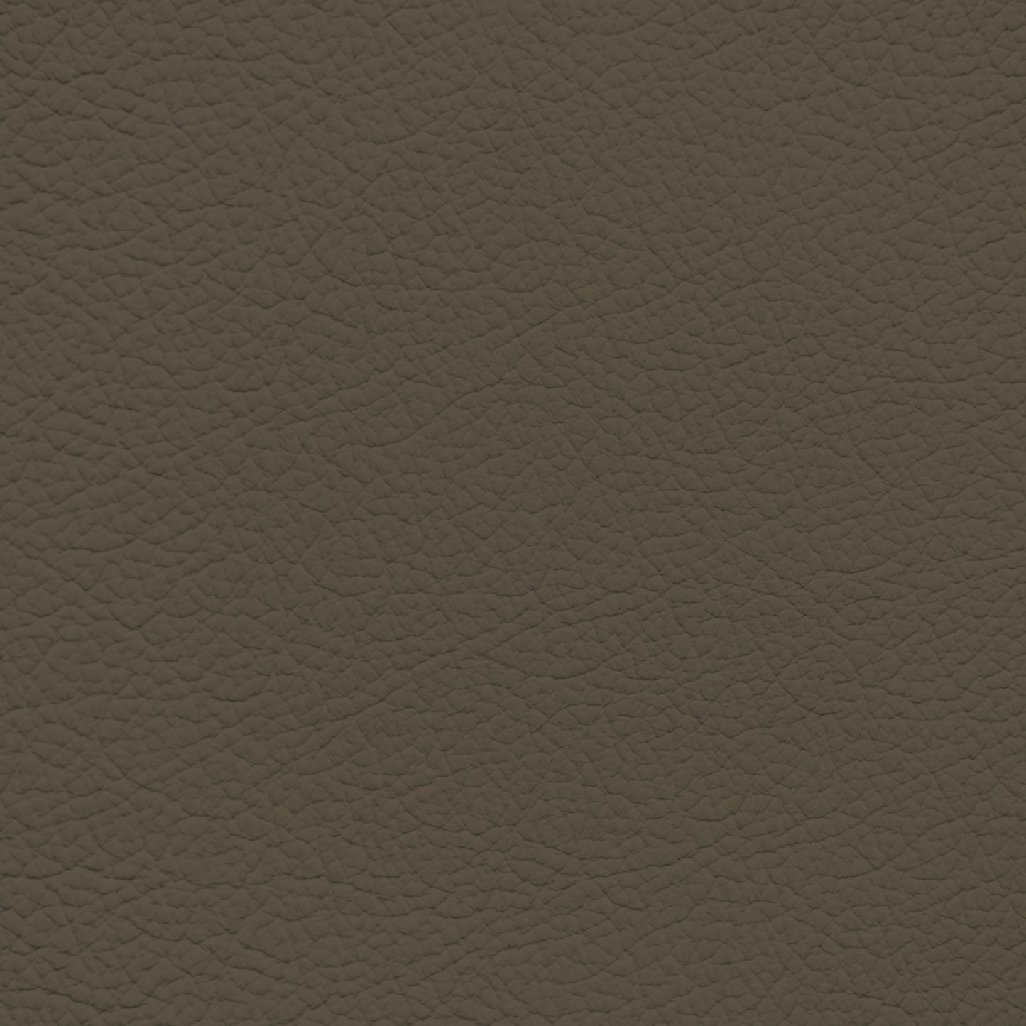 Lexus Dark Taupe Leather Dye