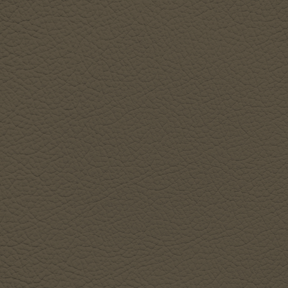 Lexus Dark Taupe Leather Dye