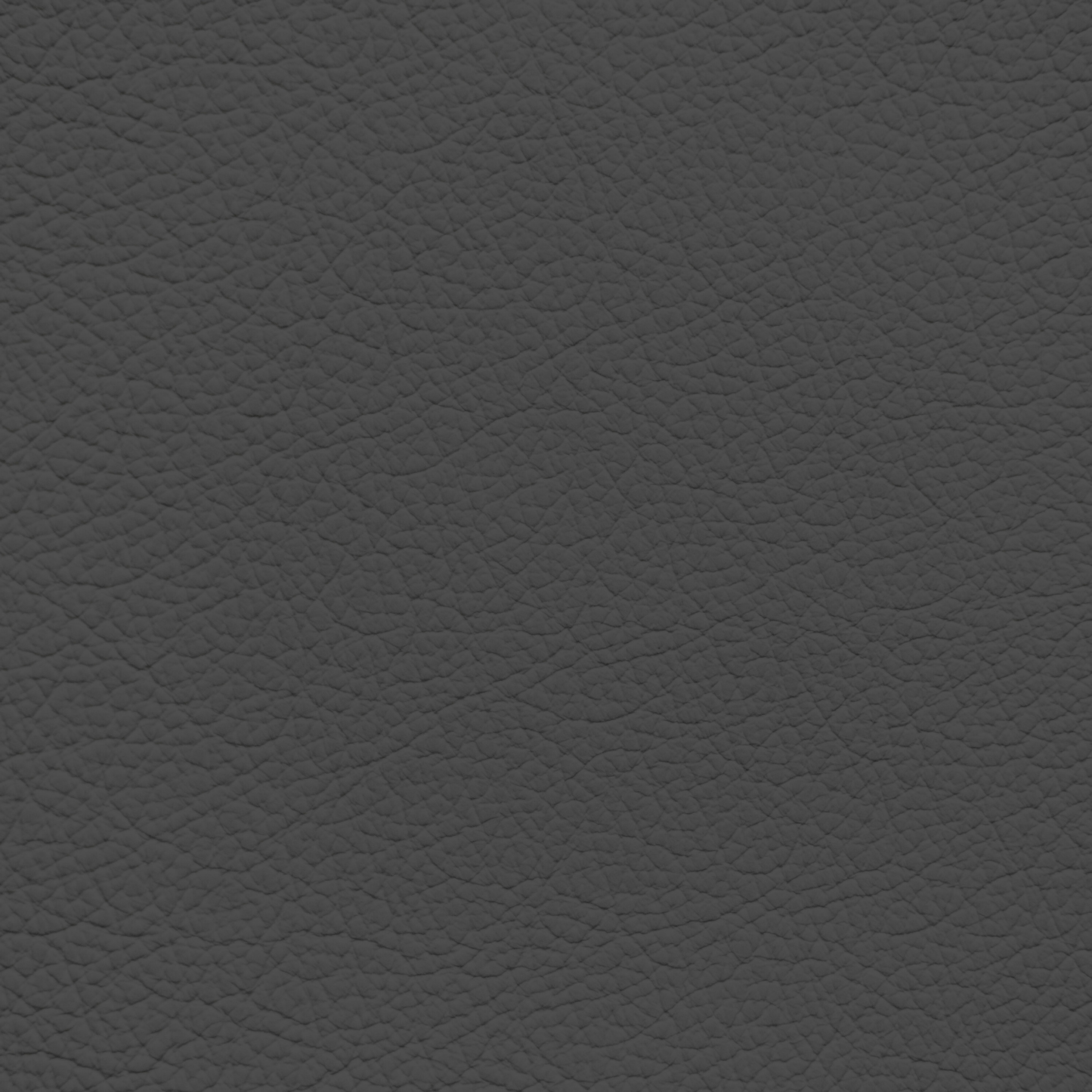 Ford/Lincoln/Mercury Dark Titanium Leather Dye